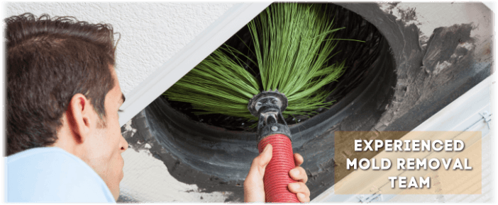 Air Duct Mold Removal in Joliet IL